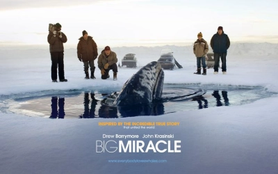 Phép Màu (Big Miracle)