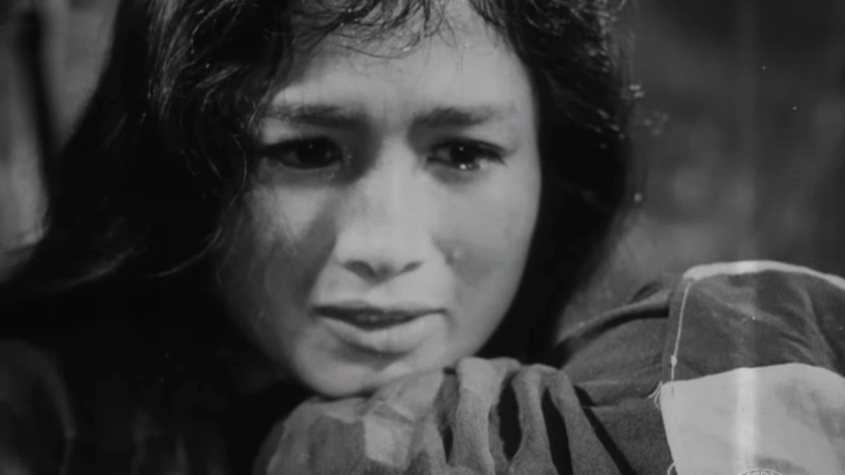 Vĩ Tuyến 17 Ngày Và Đêm (17th Parallel, Nights and Days)